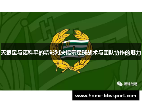 天狼星与诺科平的精彩对决揭示足球战术与团队协作的魅力